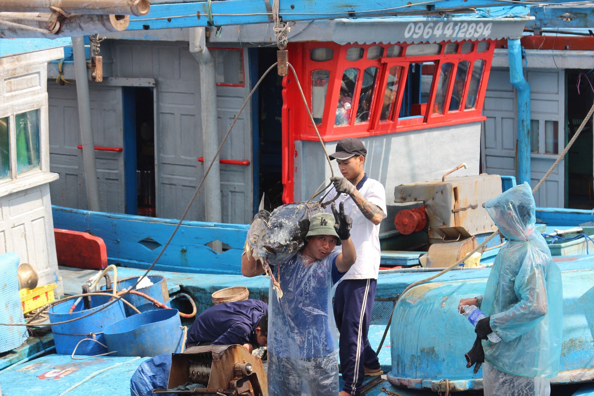 Cận cảnh cánh trai làng biển ở Bình Định, ông nào cũng lực lưỡng vác loài cá "khổng lồ" lên bờ- Ảnh 7.