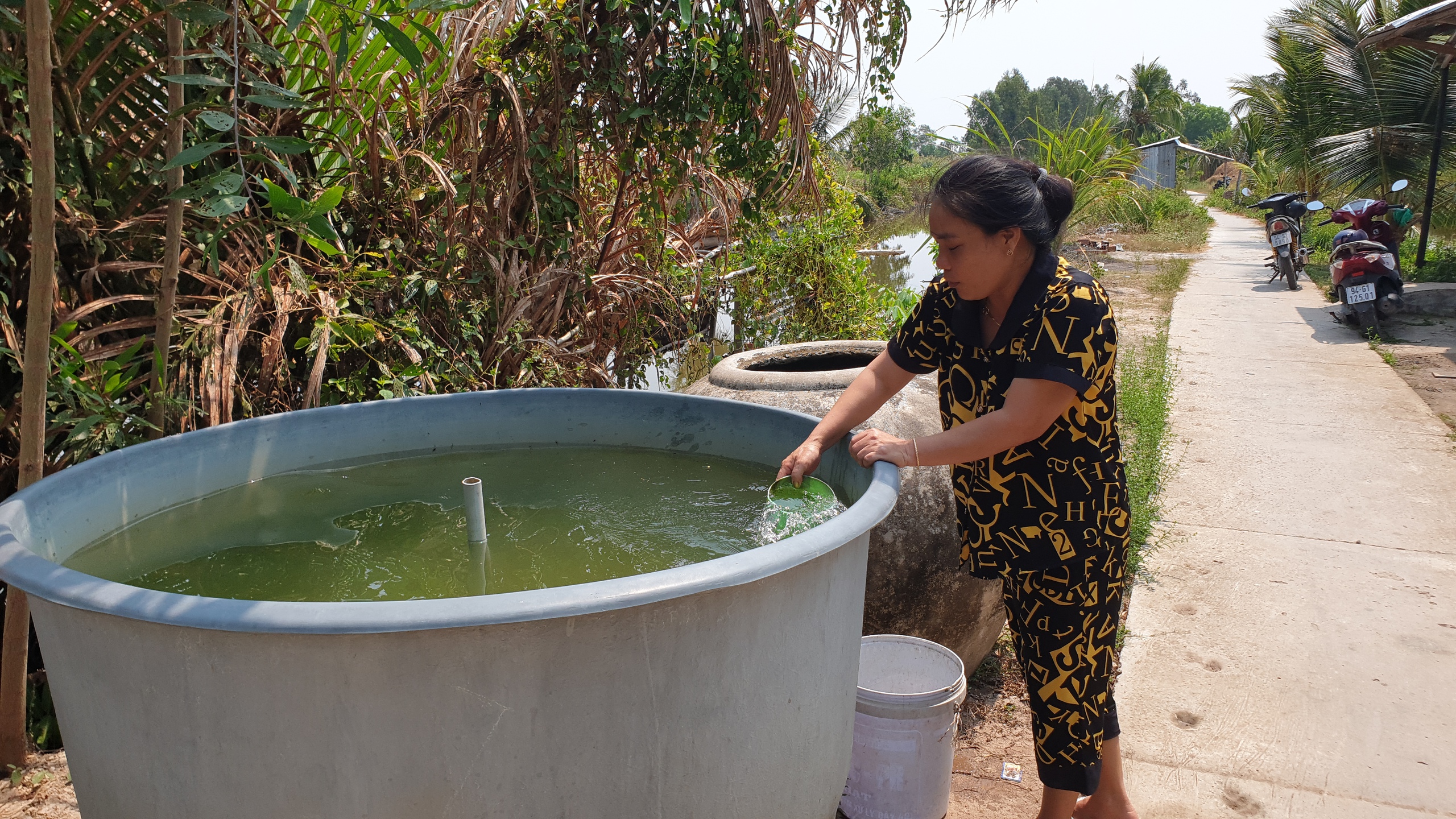 "Khát" nước sạch, người dân Cà Mau phải mua nước giá cao gấp 5 lần- Ảnh 4.