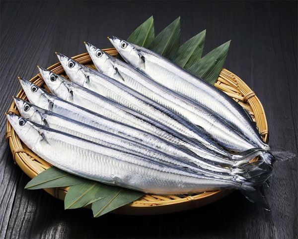 Một loài cá bình dân chứa nhiều omega-3 hơn cá hồi, người Nhật cực thích, có sẵn ở Việt Nam- Ảnh 5.