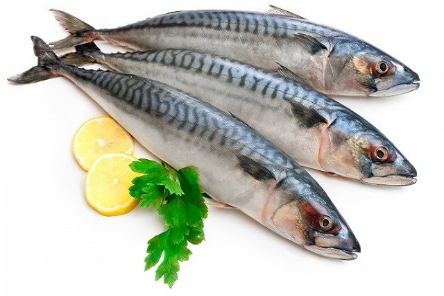 Một loài cá bình dân chứa nhiều omega-3 hơn cá hồi, người Nhật cực thích, có sẵn ở Việt Nam- Ảnh 12.