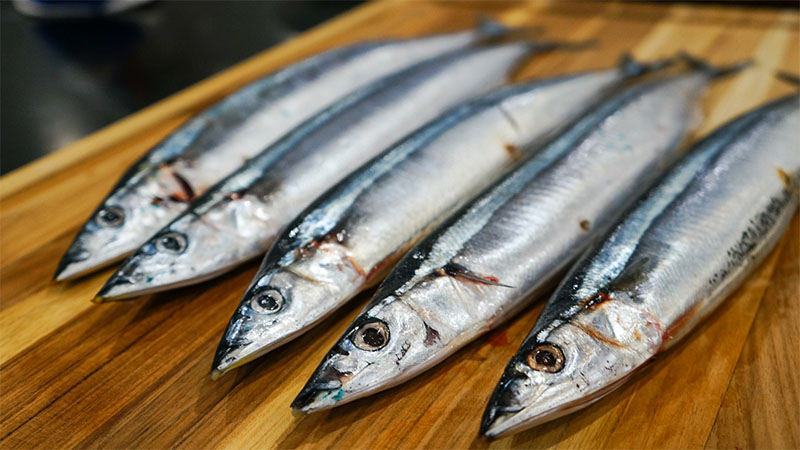 Một loài cá bình dân chứa nhiều omega-3 hơn cá hồi, người Nhật cực thích, có sẵn ở Việt Nam- Ảnh 11.