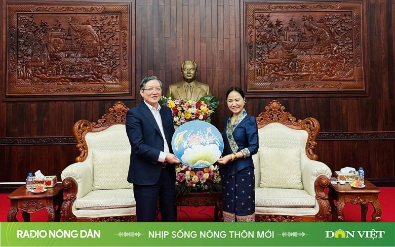 Nhịp sống nông thôn mới ngày 08/03/2024- Ảnh 1.