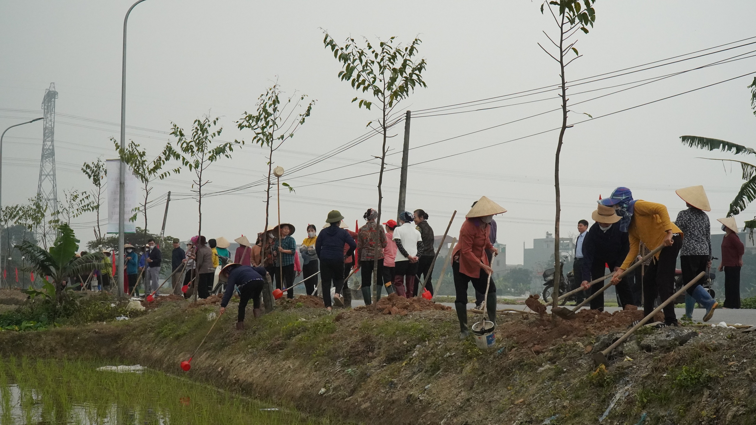 Hội Nông dân tỉnh Bắc Ninh phấn đấu trồng mới trên 74.000 cây xanh - Ảnh 4.