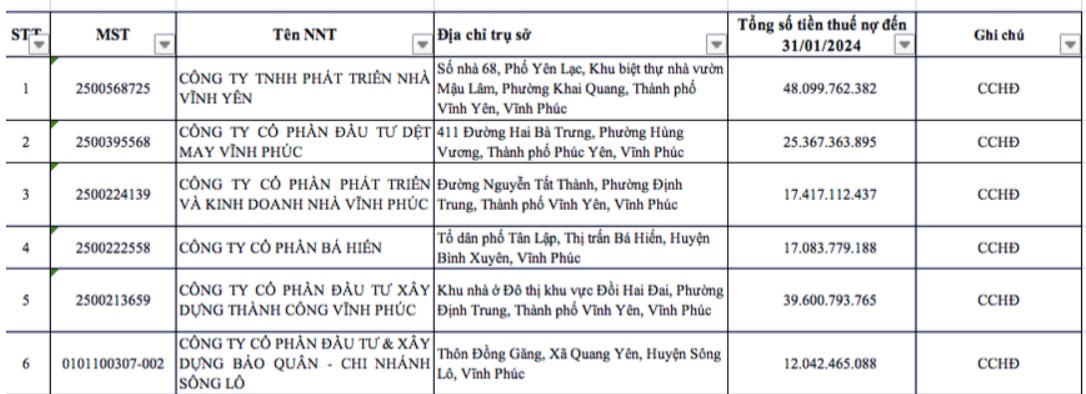 Phát triển nhà Vĩnh Yên đứng đầu nợ thuế ở Vĩnh Phúc và mối quan hệ với FPT Capital - Ảnh 1.