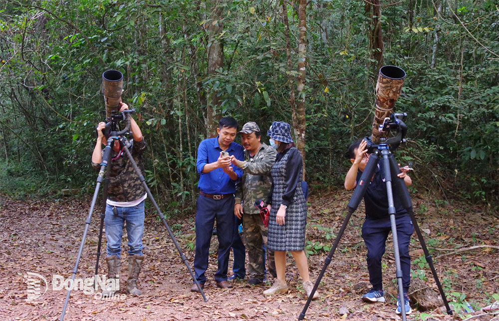 Một khu rừng rậm của Đồng Nai vô số chim hoang dã lạ, dân tình sắm "máy khủng" vô rình chụp hình- Ảnh 13.