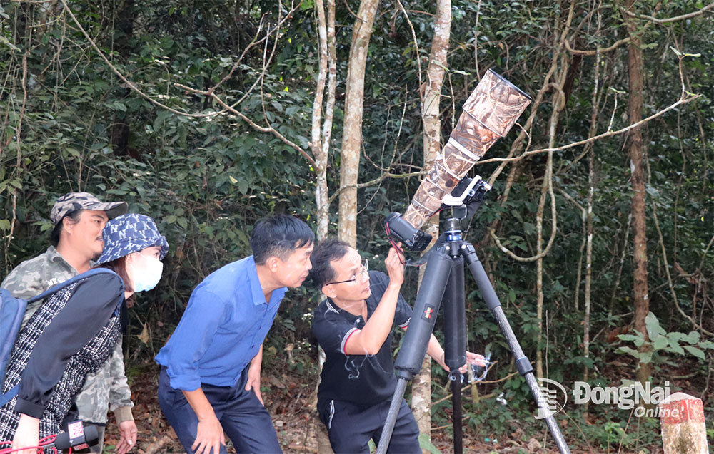 Một khu rừng rậm của Đồng Nai vô số chim hoang dã lạ, dân tình sắm "máy khủng" vô rình chụp hình- Ảnh 2.
