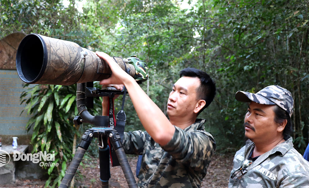 Một khu rừng rậm của Đồng Nai vô số chim hoang dã lạ, dân tình sắm "máy khủng" vô rình chụp hình- Ảnh 3.