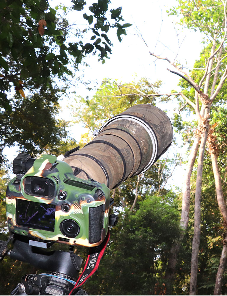 Một khu rừng rậm của Đồng Nai vô số chim hoang dã lạ, dân tình sắm "máy khủng" vô rình chụp hình- Ảnh 4.