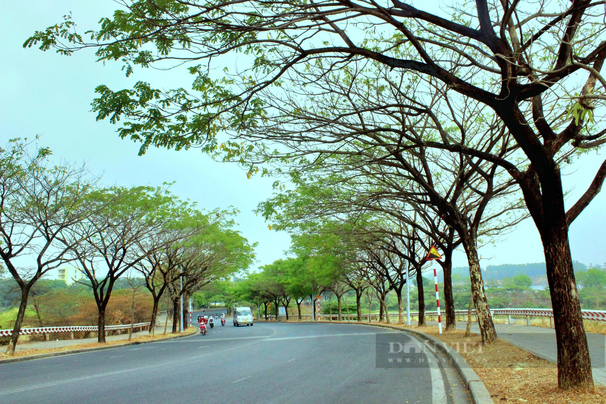 Một con đường hoa giấy đẹp như phim ở khu đô thị ĐH Quốc gia TP HCM- Ảnh 16.
