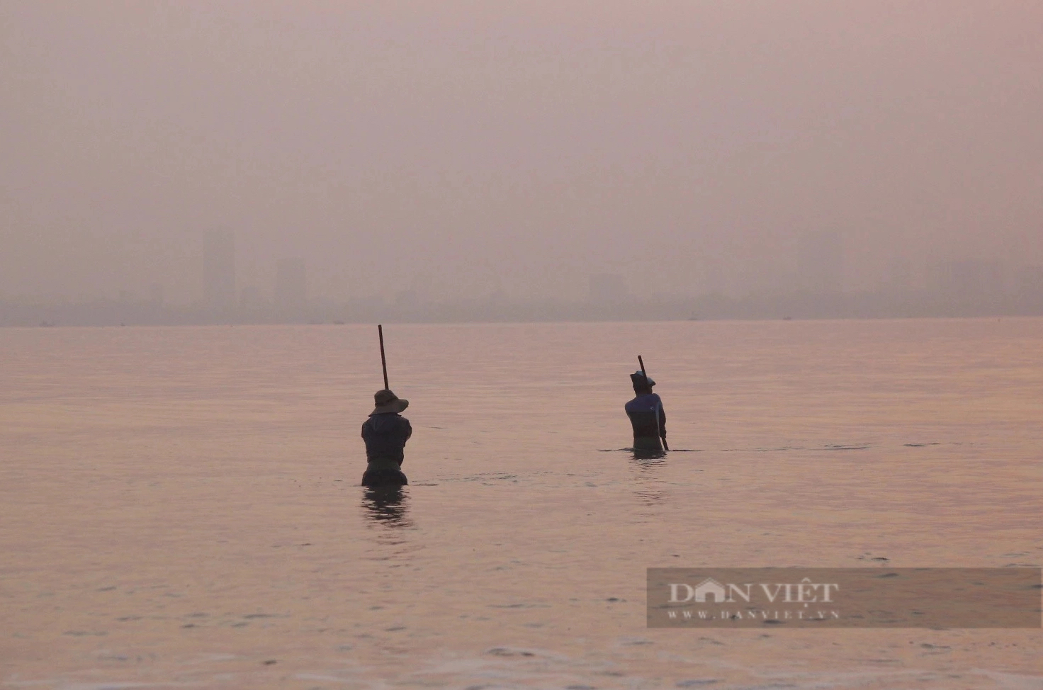 Dầm mình dưới nước thu "lộc biển", ngư dân Đà Nẵng kiếm tiền triệu mỗi ngày- Ảnh 1.