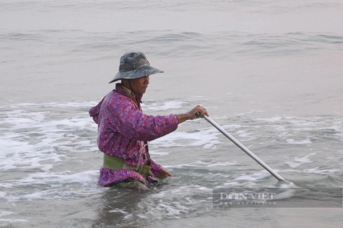 Dầm mình dưới nước thu "lộc biển", ngư dân Đà Nẵng kiếm tiền triệu mỗi ngày- Ảnh 2.