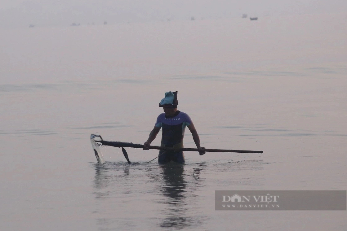 Dầm mình dưới nước thu "lộc biển", ngư dân Đà Nẵng kiếm tiền triệu mỗi ngày- Ảnh 7.
