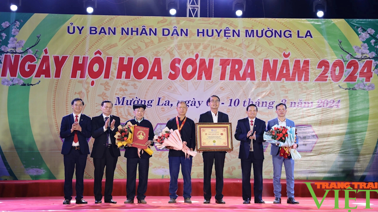 Ngọc Chiến xác lập kỷ lục xã có rừng hoa sơn tra lớn nhất Việt Nam - Ảnh 5.