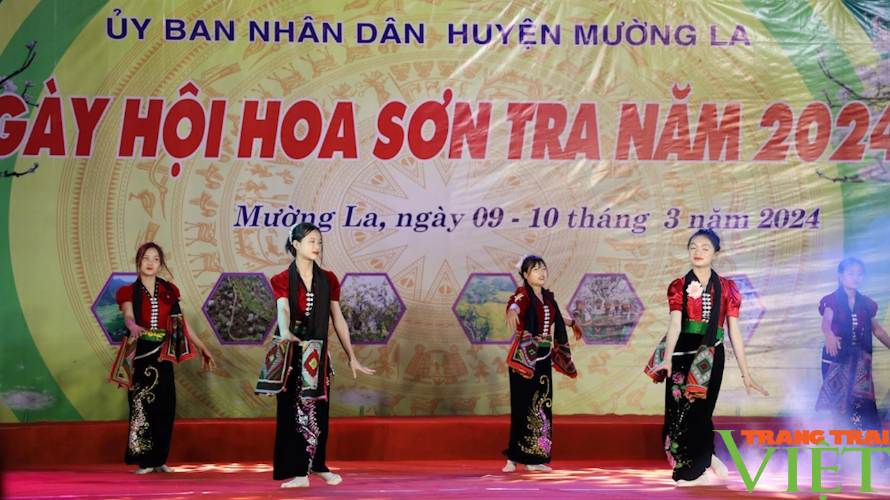 Ngọc Chiến xác lập kỷ lục xã có rừng hoa sơn tra lớn nhất Việt Nam - Ảnh 6.