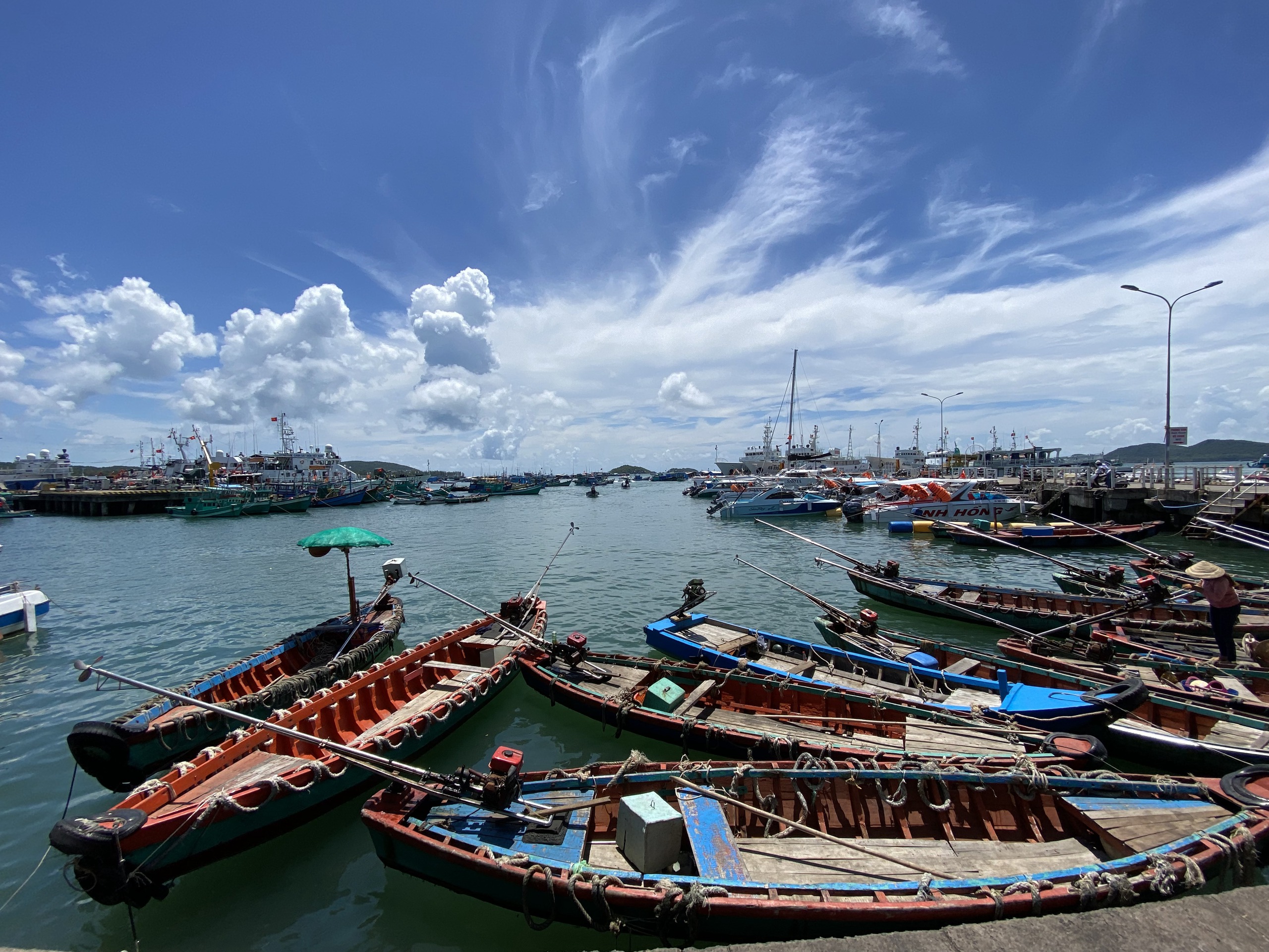 Xẻ thịt “nàng tiên cá”, mổ bụng moi trứng rùa biển (Bài cuối): Chiến dịch truy quét “rùa tặc” và “trứng tặc” - Ảnh 4.