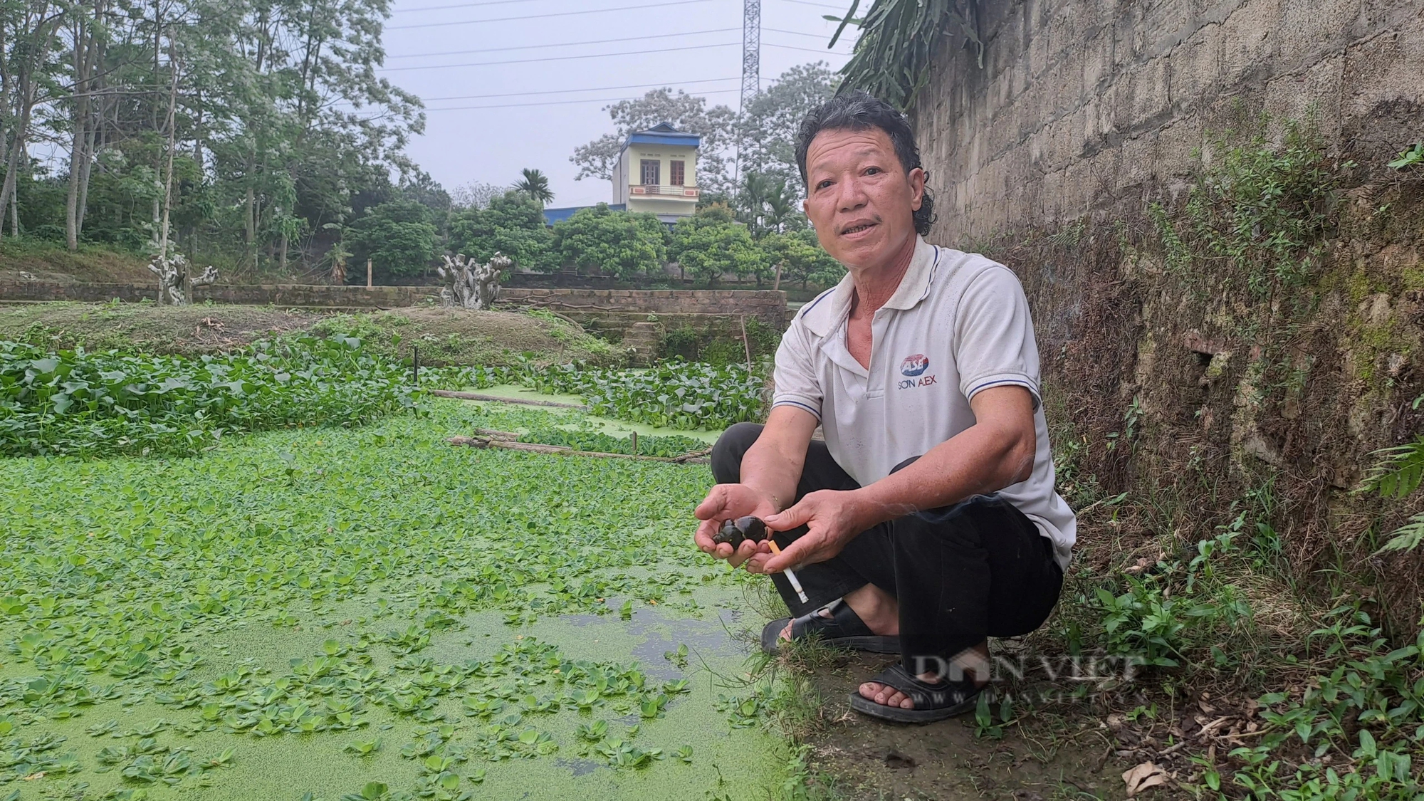 Trồng loại quả ngon, nuôi con đặc sản, một ông nông dân Thái Nguyên tự trả lương cao từ vườn-ao-chuồng- Ảnh 1.