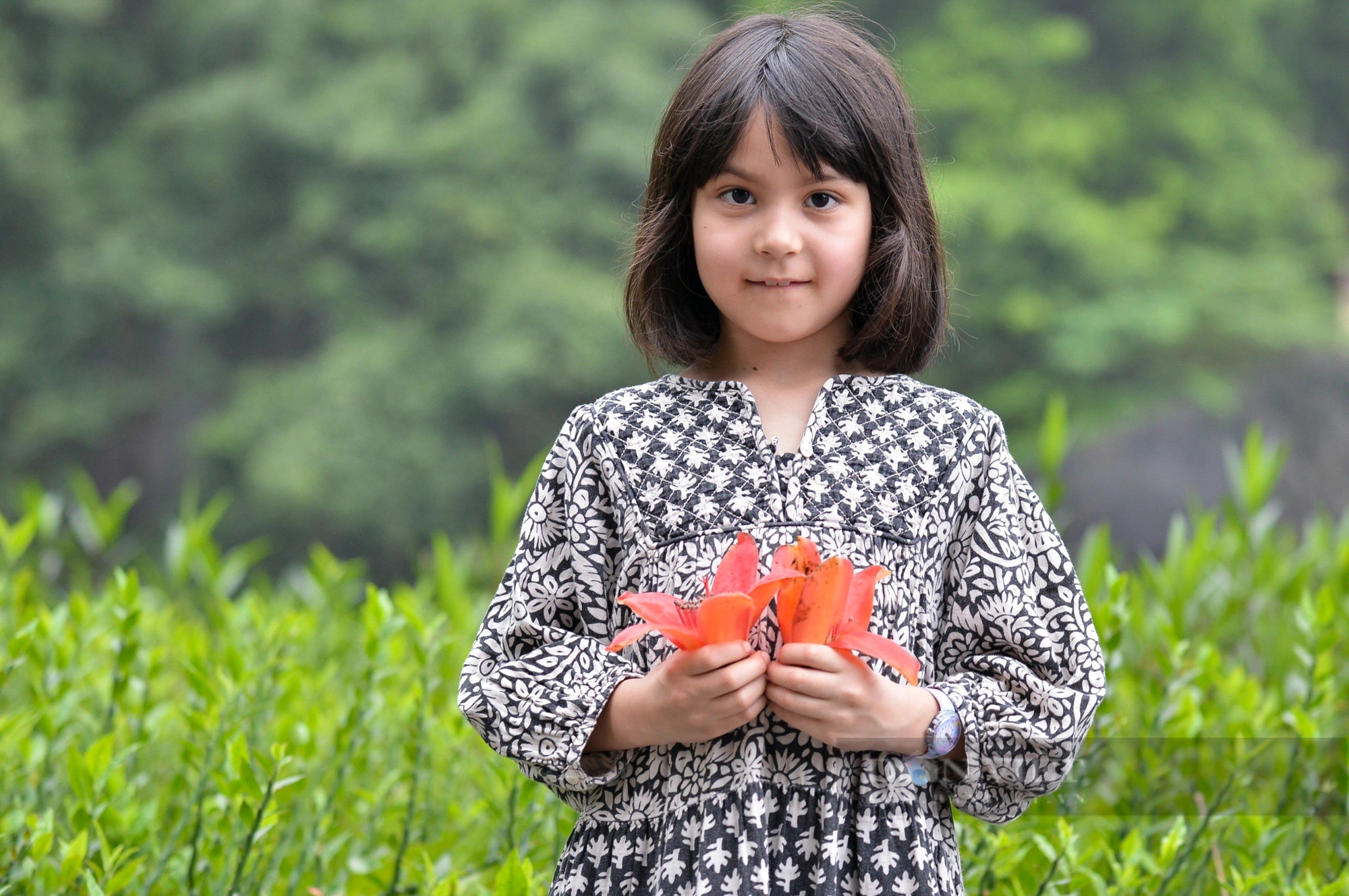 Chiêm ngưỡng sắc đỏ của cây hoa gạo trăm tuổi "đẹp nhất" Ninh Bình- Ảnh 9.
