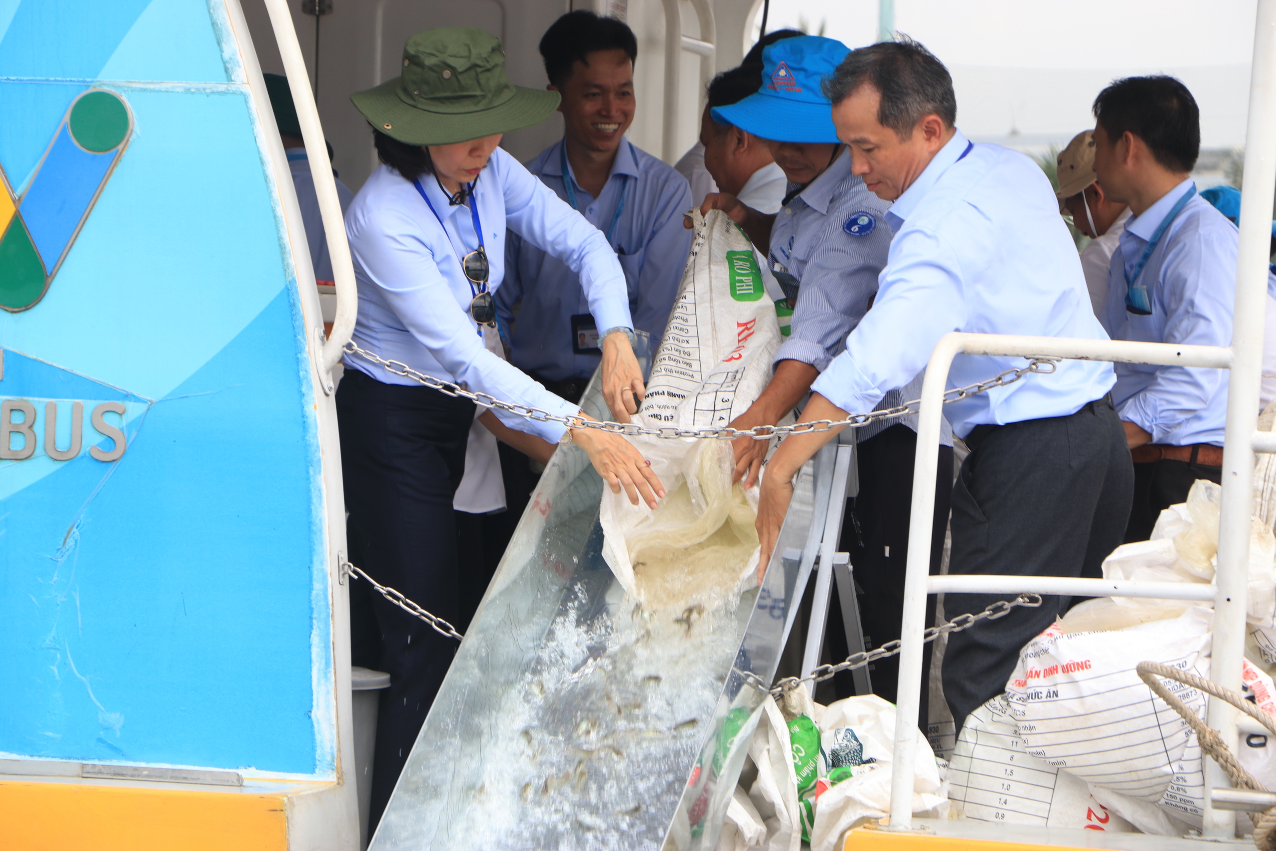TP.HCM thả 1 triệu con giống xuống sông Sài Gòn và biển Cần Giờ tái tạo nguồn lợi thủy sản- Ảnh 3.