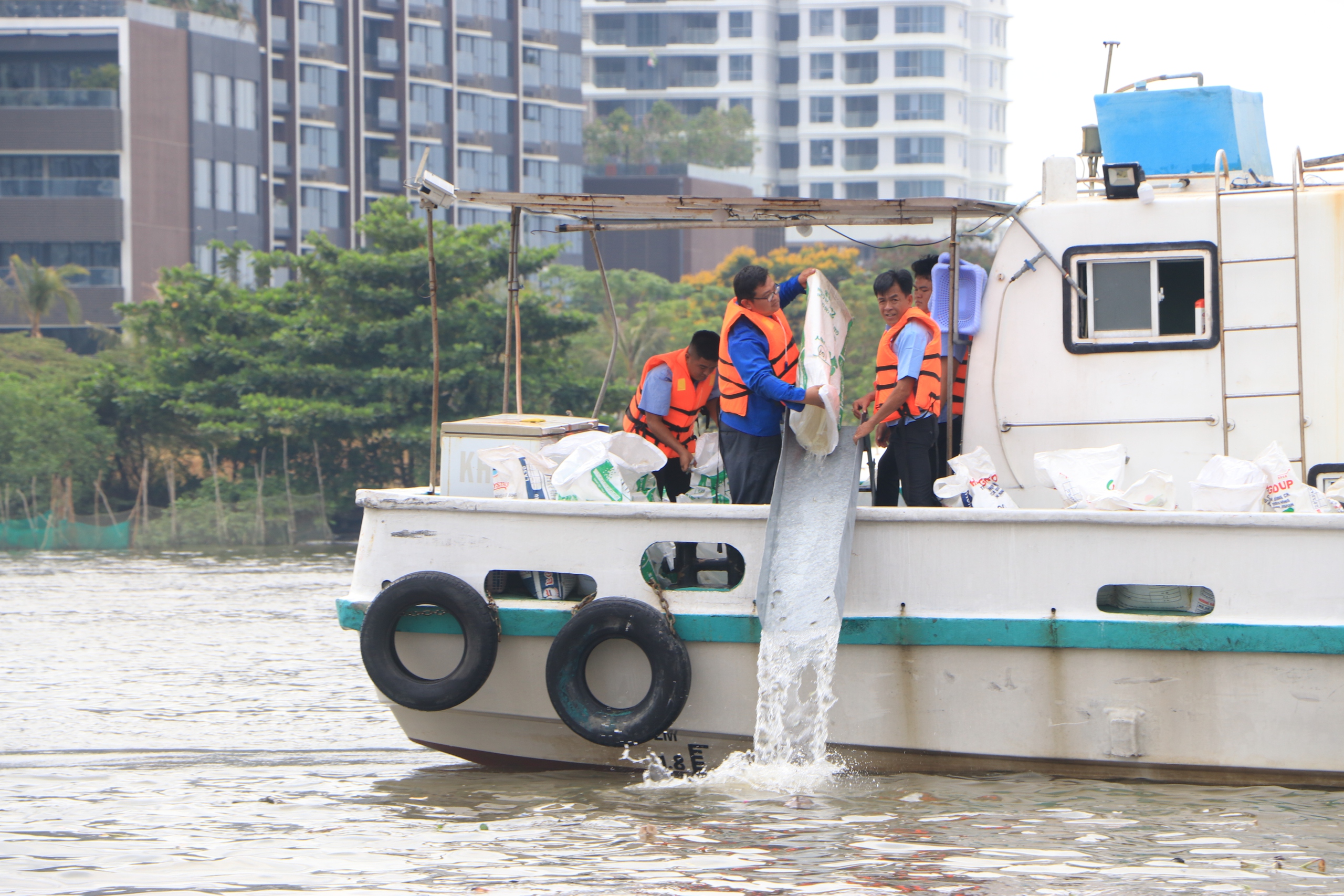 TP.HCM thả 1 triệu con giống xuống sông Sài Gòn và biển Cần Giờ tái tạo nguồn lợi thủy sản- Ảnh 5.