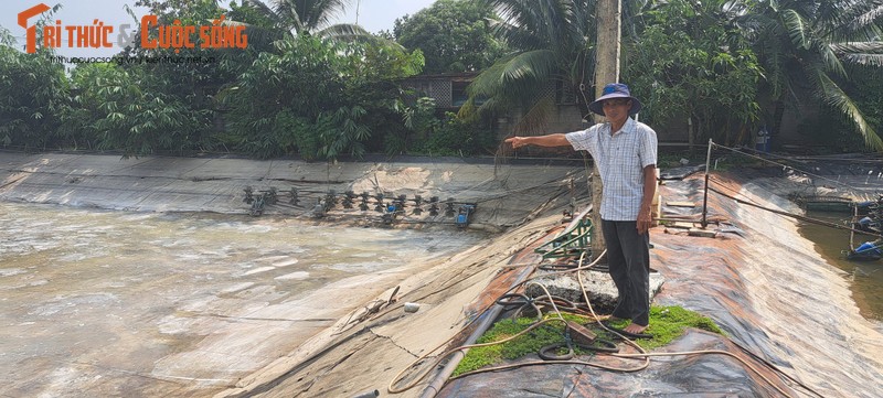Một ông nông dân thành tỷ phú nhờ "chiêu" đưa mô hình nuôi tôm về thành phố Hồ Chí Minh- Ảnh 5.
