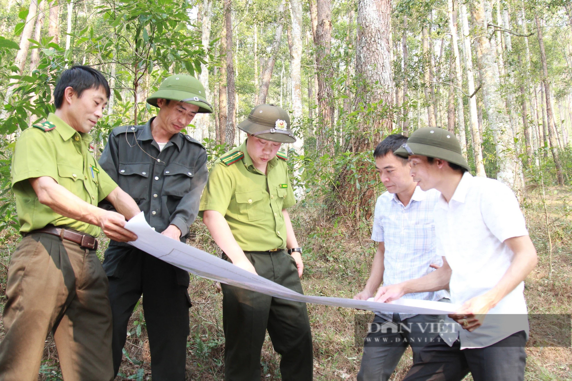 Liên tục cháy rừng, huyện vùng cao ở Yên Bái siết chặt việc đốt nương làm rẫy- Ảnh 2.