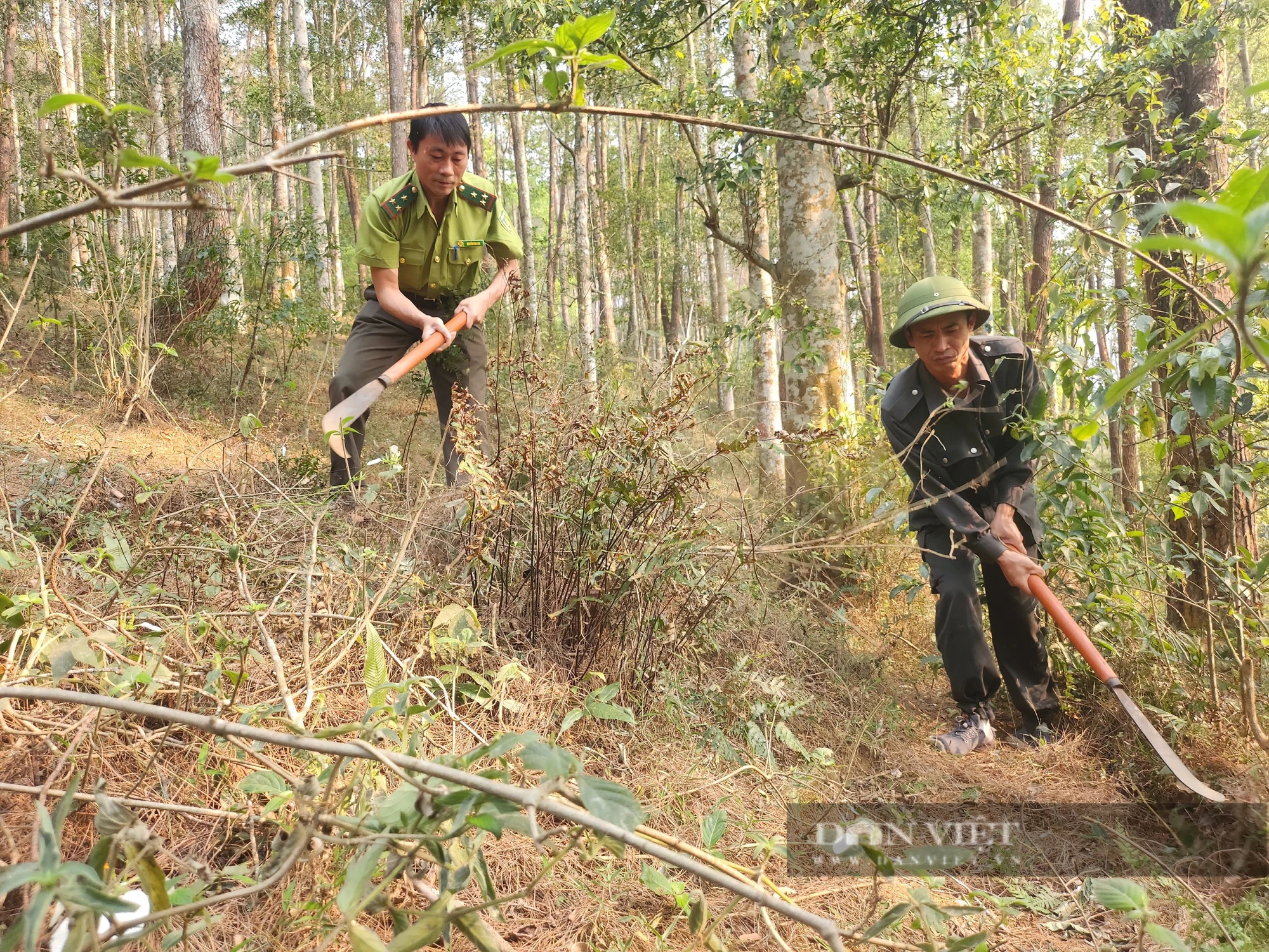 Liên tục cháy rừng, huyện vùng cao ở Yên Bái siết chặt việc đốt nương làm rẫy- Ảnh 3.