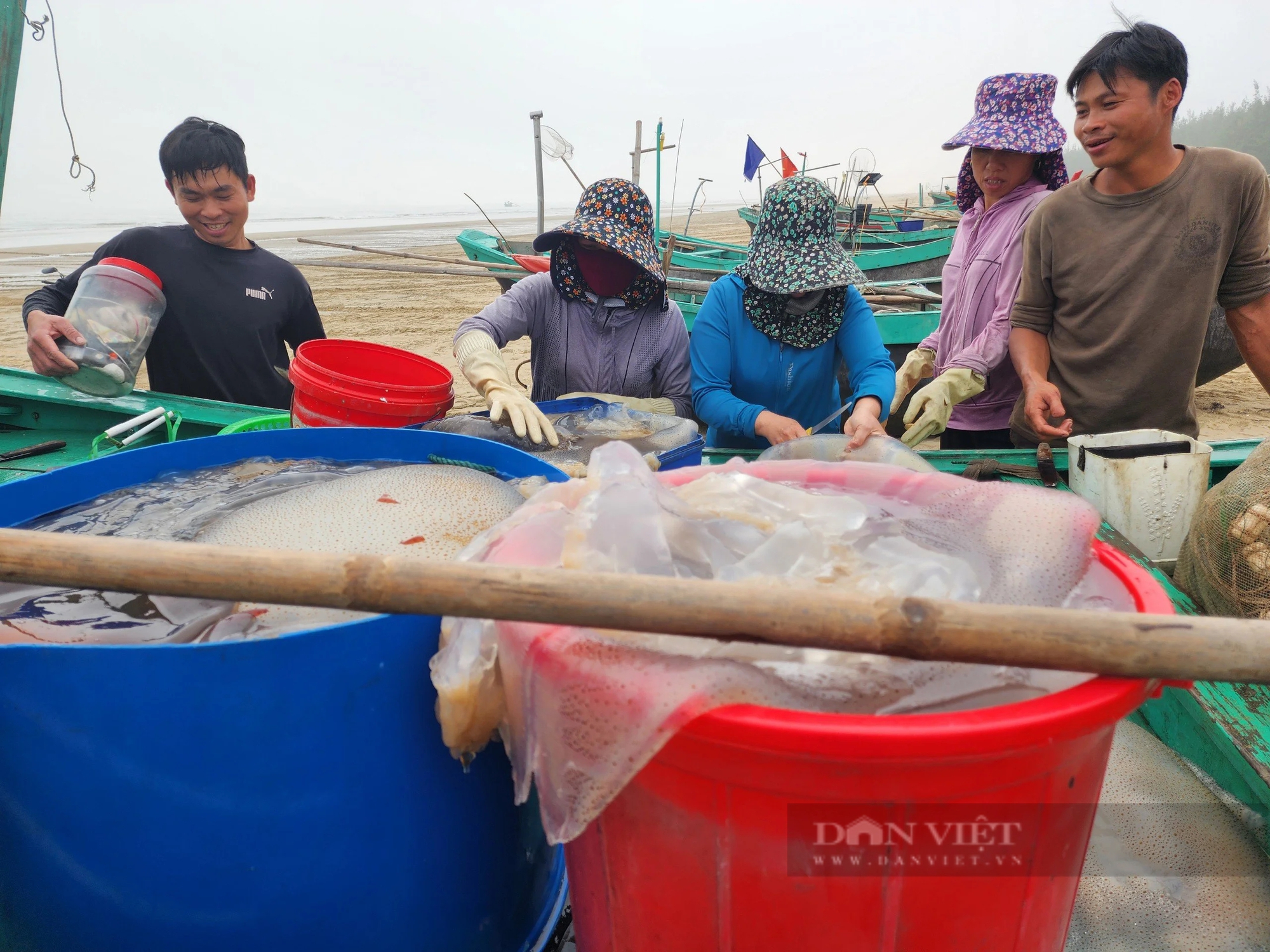Ra biển Hà Tĩnh vớt hàng tấn "con lùng nhùng" mềm bún bán cho người ta làm vô số món ngon- Ảnh 1.