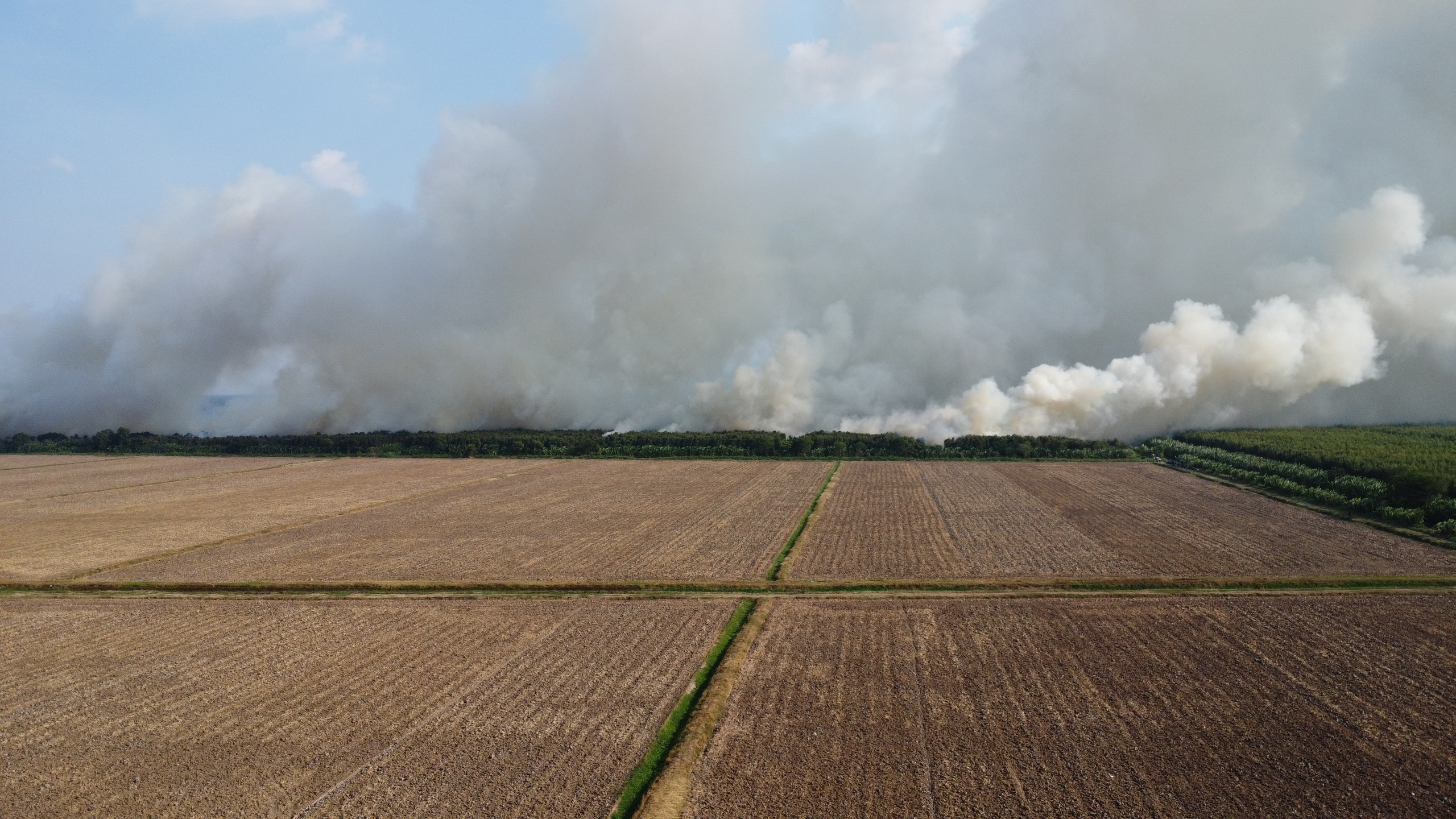 Đang cháy hàng chục hécta rừng tại Cà Mau- Ảnh 2.