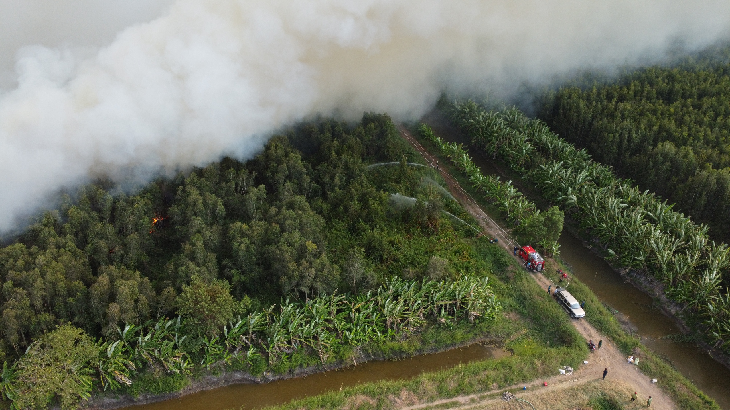 Đang cháy hàng chục hécta rừng tại Cà Mau- Ảnh 1.