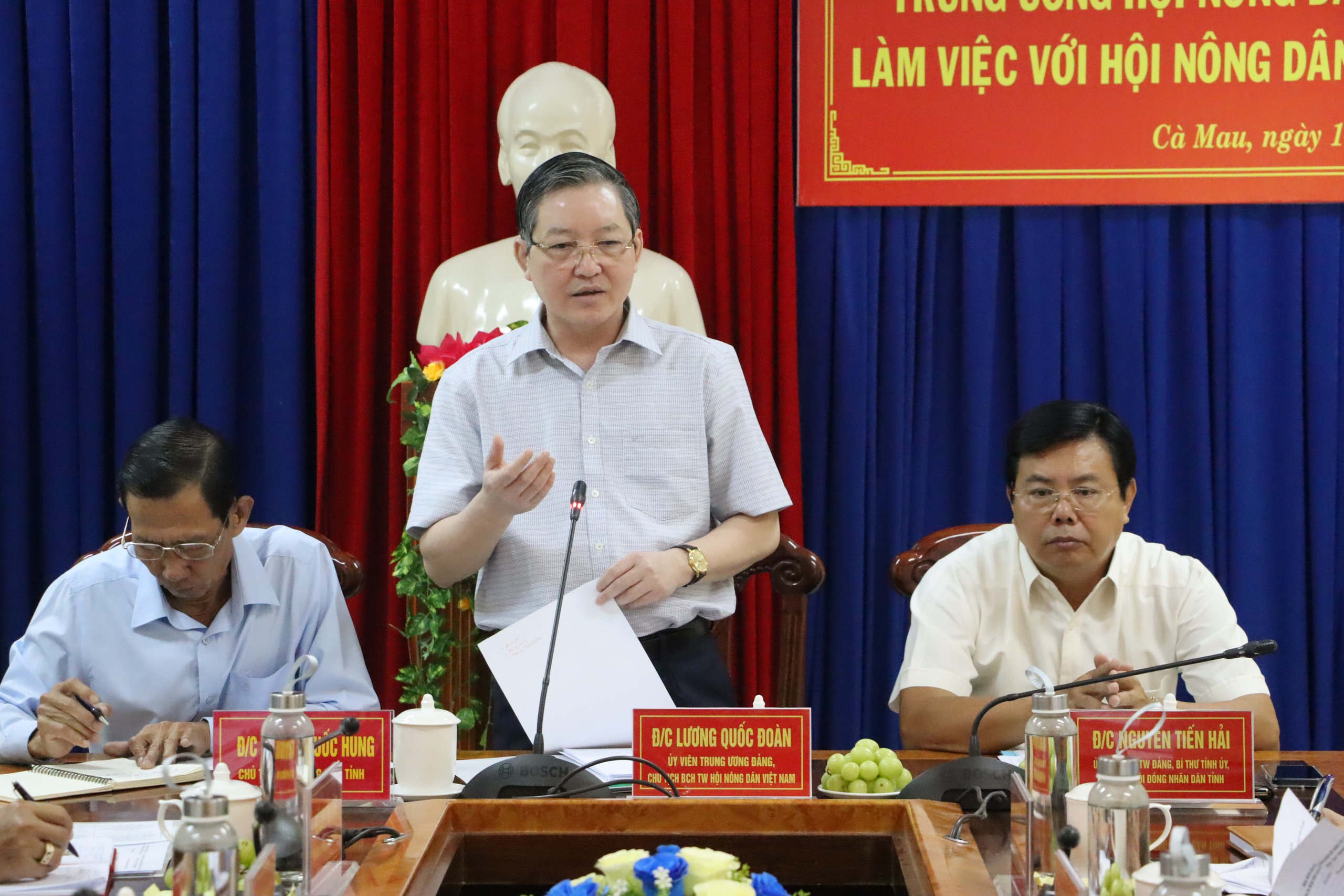 Làm việc tại Cà Mau, Chủ tịch Hội NDVN Lương Quốc Đoàn: “Trợ lực” để nông dân giỏi thành giám đốc doanh nghiệp- Ảnh 2.