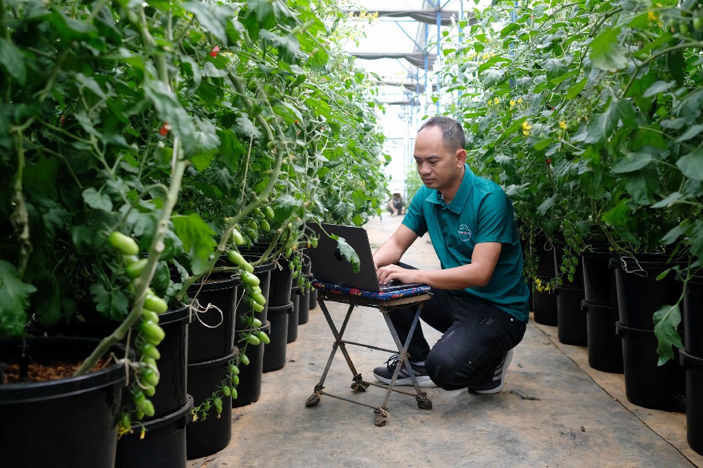 Doanh nghiệp sản xuất nông nghiệp ứng dụng công nghệ số ở Việt Nam mới chỉ đạt 3,8%, vì sao vậy?- Ảnh 3.
