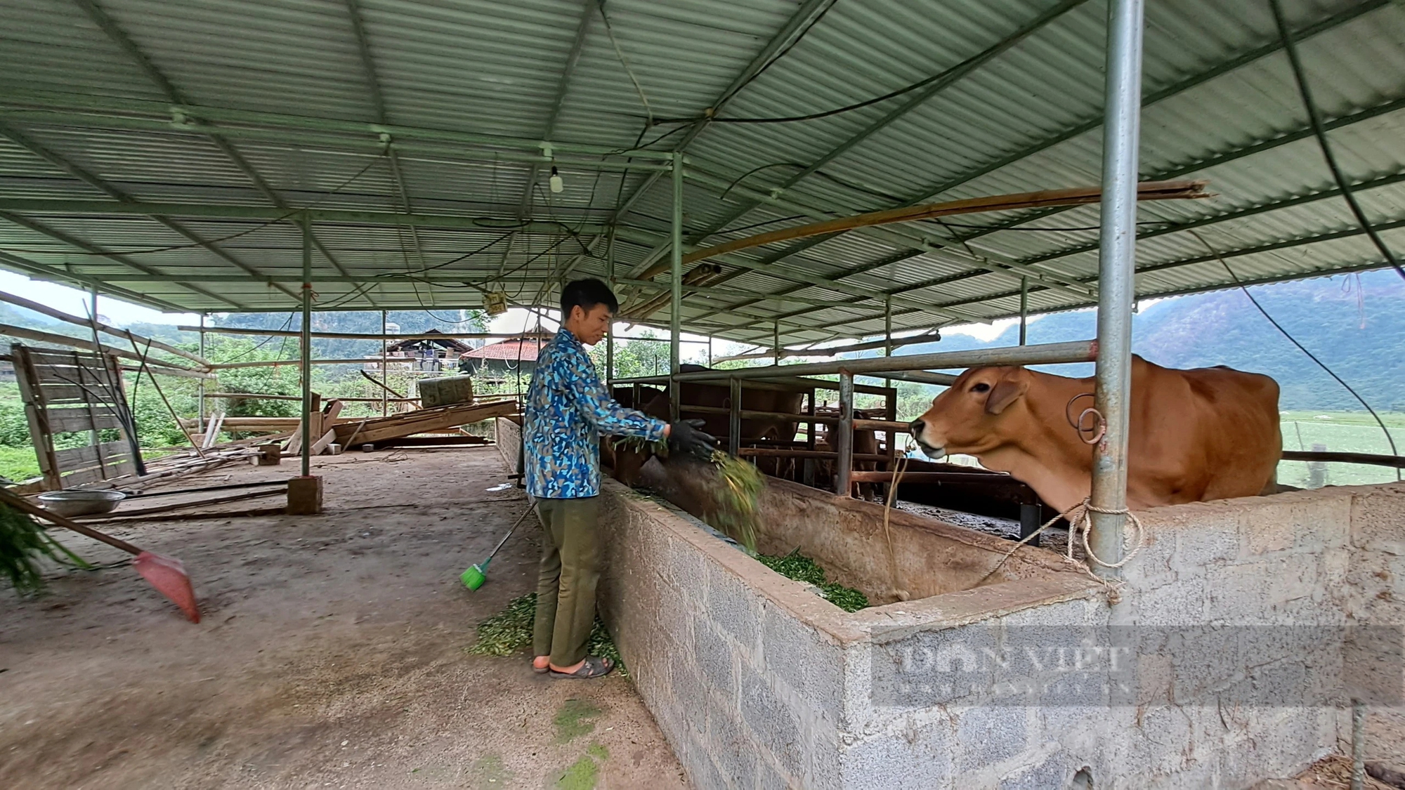 Ngước lên núi đá ở một xã của Thái Nguyên thấy con đặc sản leo từng đàn, nông dân bán đắt hàng- Ảnh 6.
