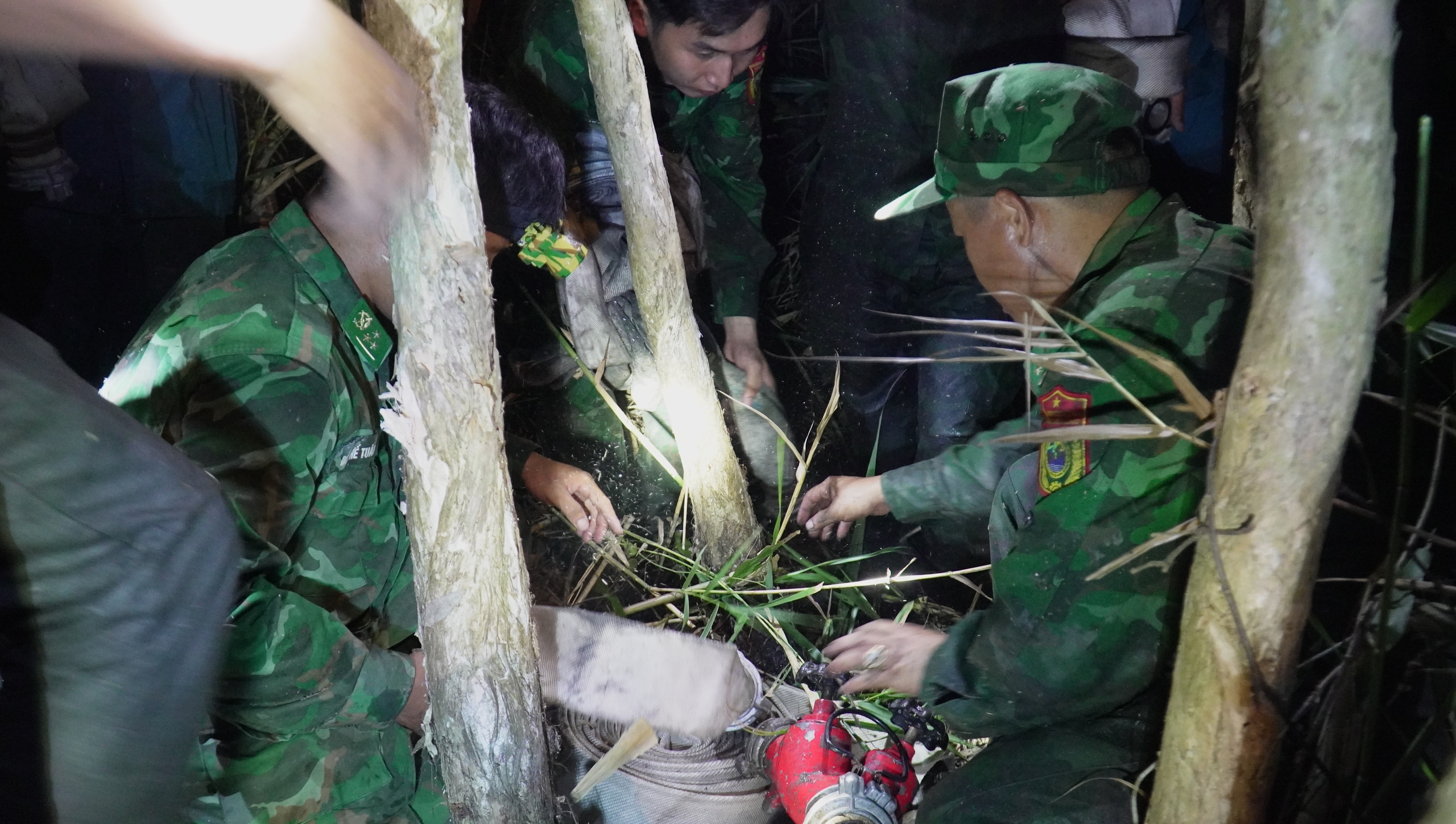 Cháy 40 hécta rừng ở Cà Mau: Huy động hàng trăm người trắng đêm dập lửa- Ảnh 2.