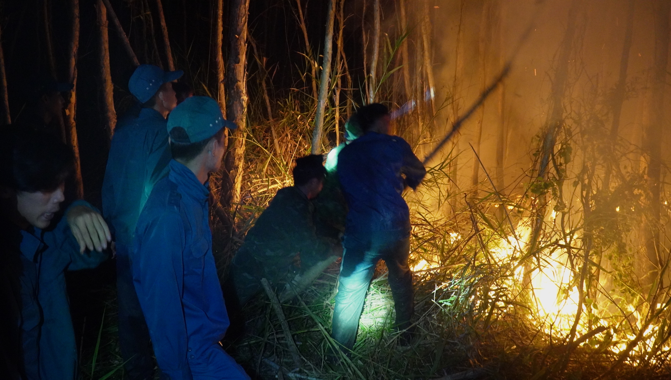 Cháy 40 hécta rừng ở Cà Mau: Huy động hàng trăm người trắng đêm dập lửa- Ảnh 3.
