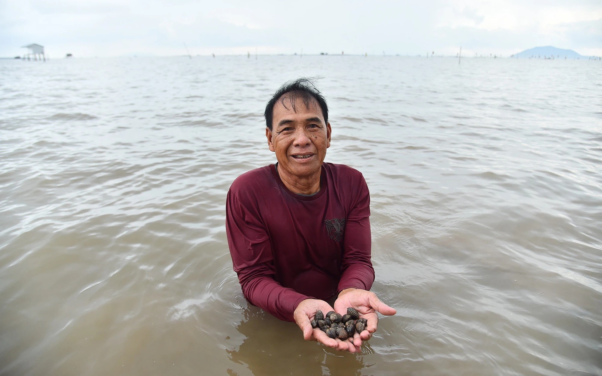 Nghề nuôi “vàng” trong bùn ở một xã biển của Kiên Giang thực ra là nuôi con gì mà chả phải cho ăn?