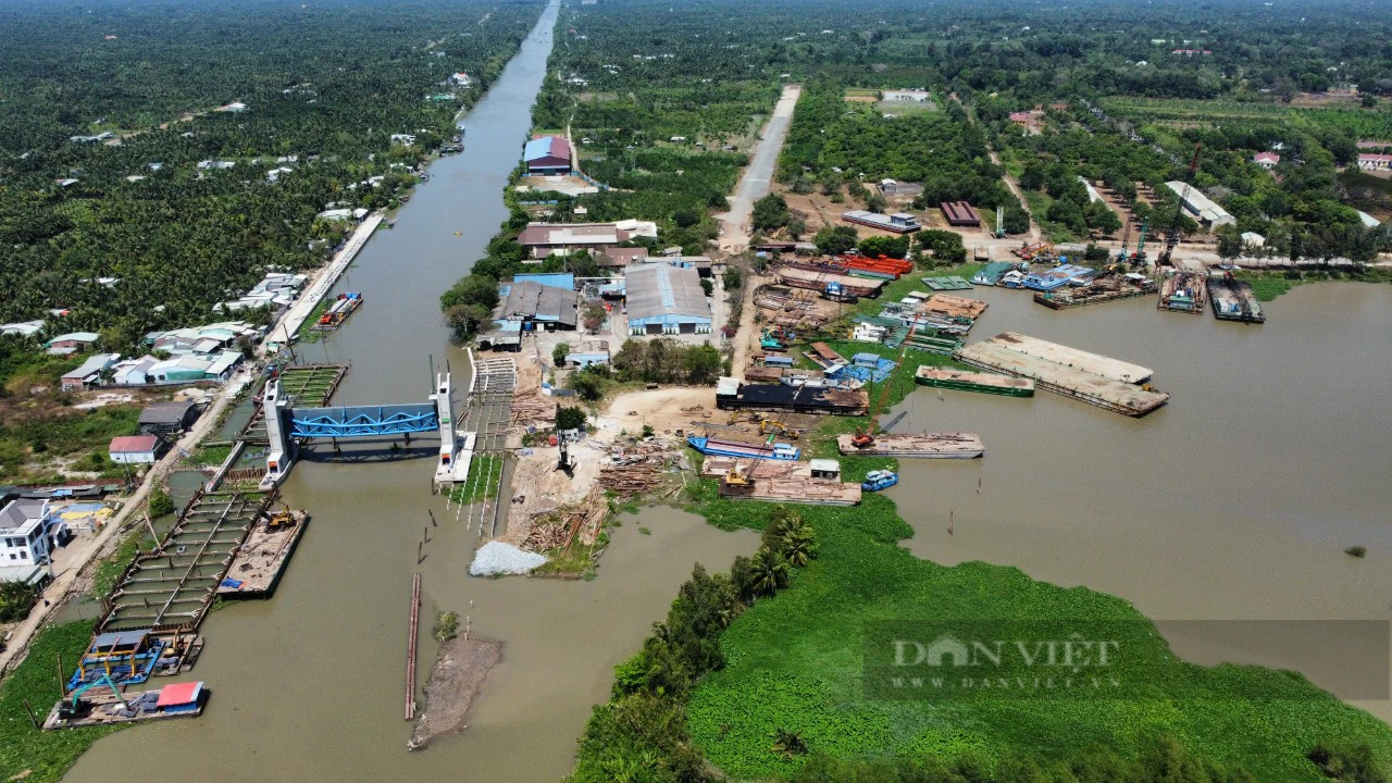 Mùa khô bất ổn ở Đồng bằng sông Cửu Long: Mặn thọc sâu vào đất liền, lần đầu ghi nhận tôm, cua chết (Bài 1)- Ảnh 1.