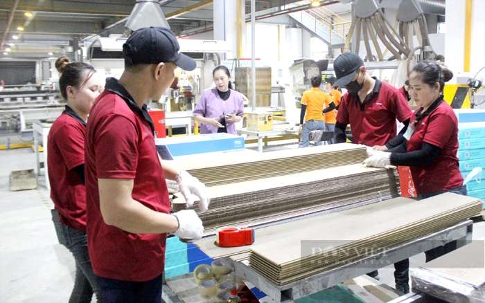 Một doanh nghiệp Trung Quốc đang đầu tư sản xuất tại Bình Dương. Ảnh: Trần Khánh