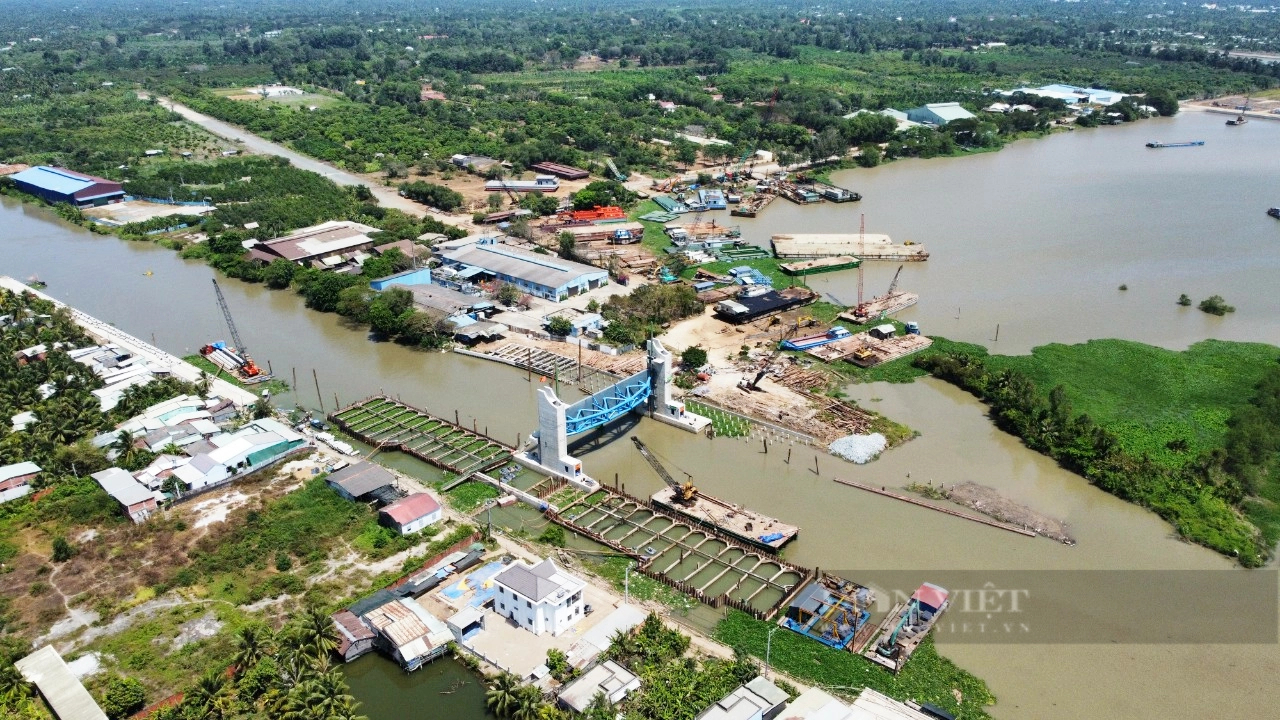 Mùa khô bất ổn ở Đồng bằng sông Cửu Long: Giải pháp điều tiết mặn-ngọt nằm trong vốn sống của nông dân (Bài 6)- Ảnh 1.