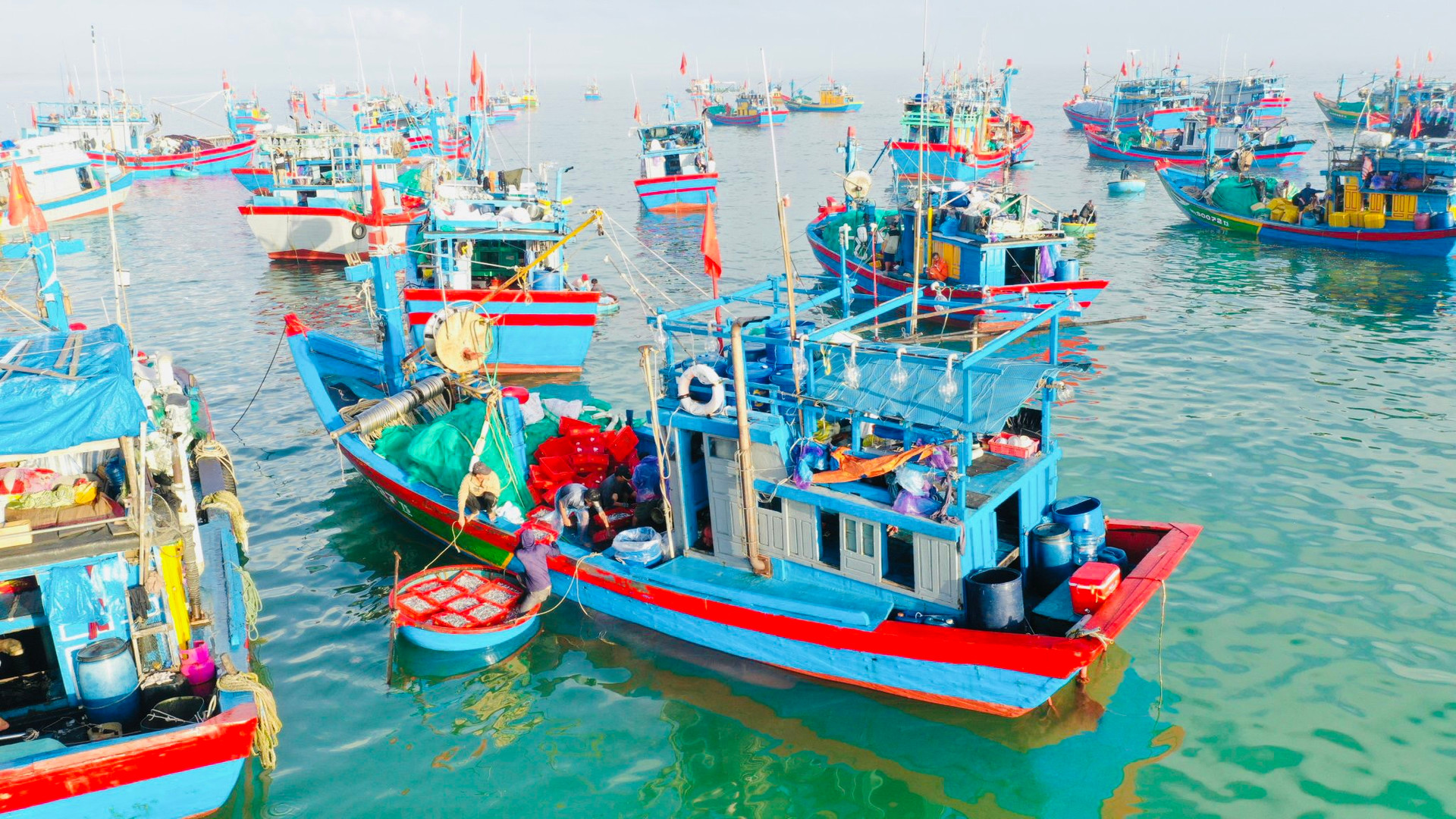 Ở Quảng Ngãi có cái chợ làng biển, hễ mặt trời ló rạng là tấp nập mua bán, cá cơm chất tươi đầy thuyền thúng- Ảnh 2.