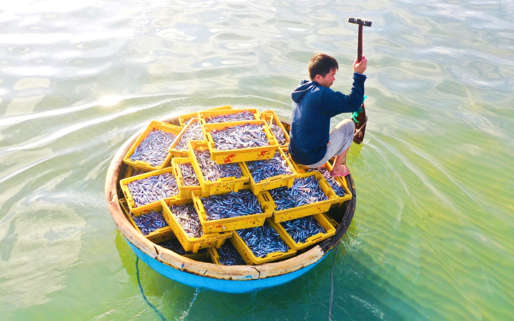 Ở Quảng Ngãi có cái chợ làng biển, hễ mặt trời ló rạng là tấp nập mua bán, cá cơm chất tươi đầy thuyền thúng