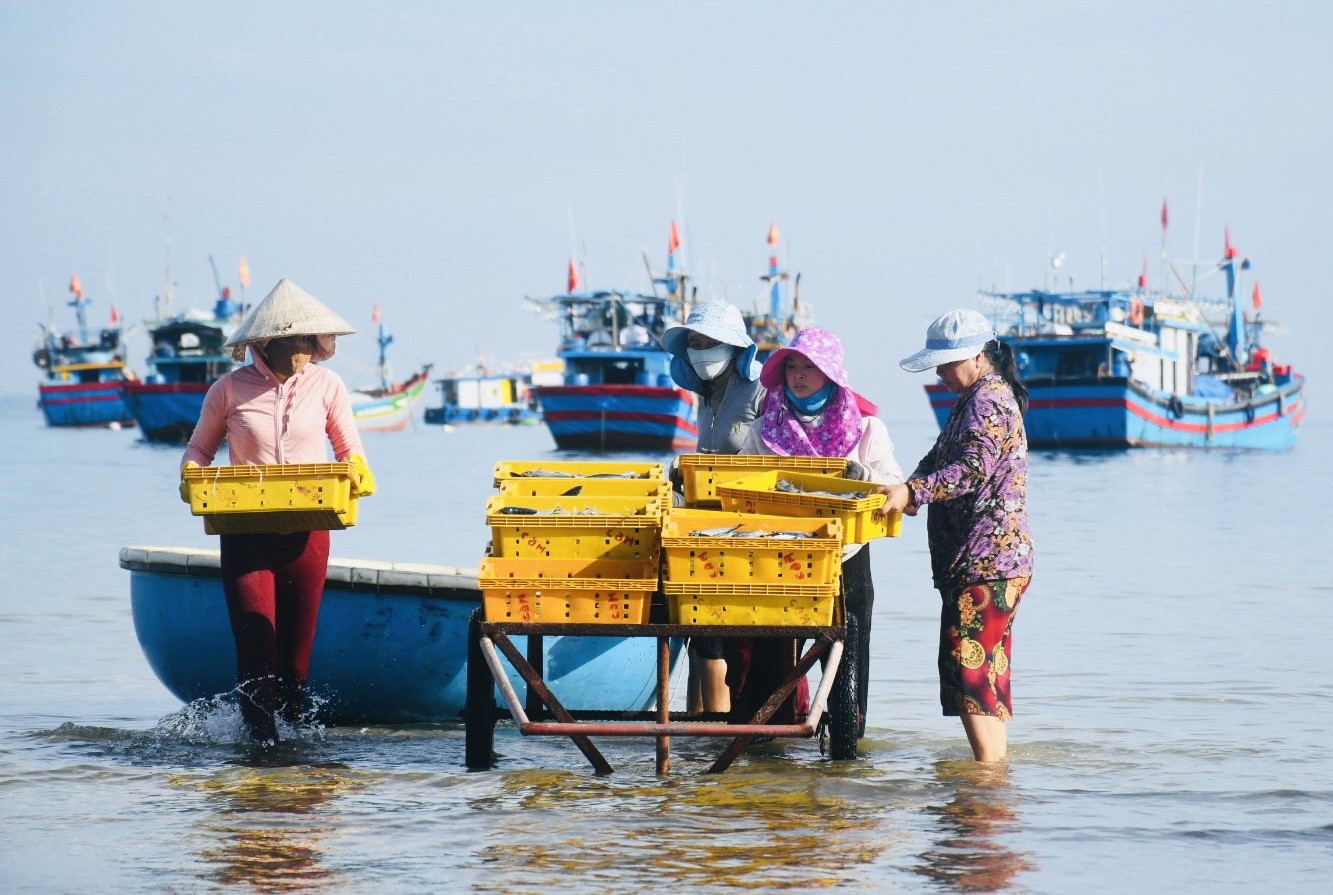 Chợ cá làng biển ở Quảng Ngãi