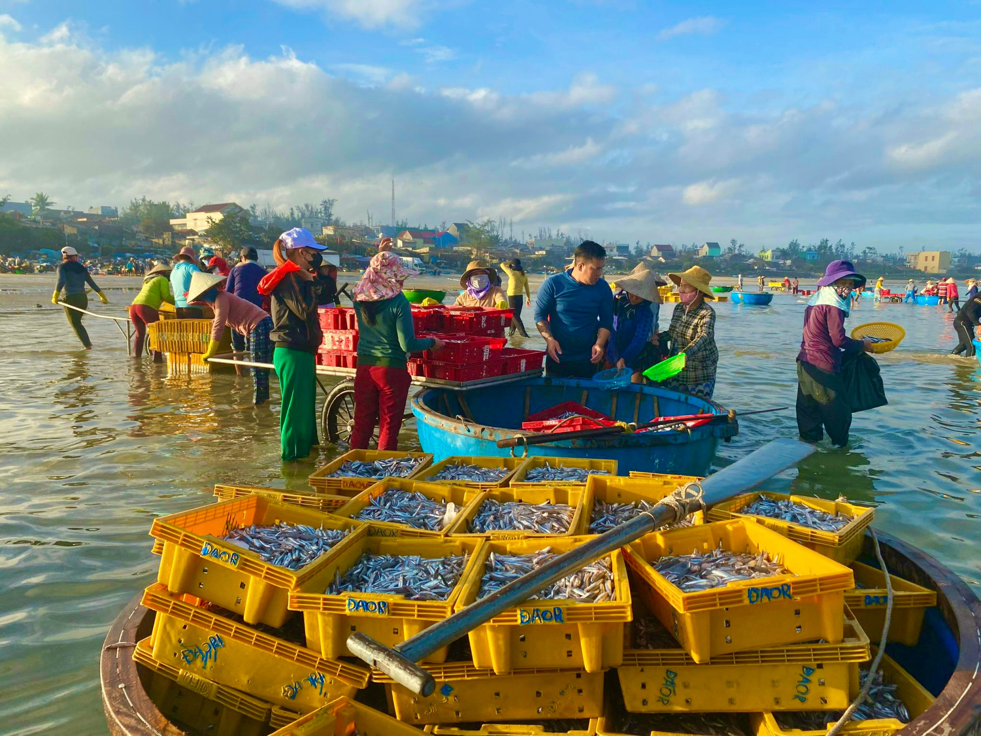 Ở Quảng Ngãi có cái chợ làng biển, hễ mặt trời ló rạng là tấp nập mua bán, cá cơm chất tươi đầy thuyền thúng- Ảnh 7.
