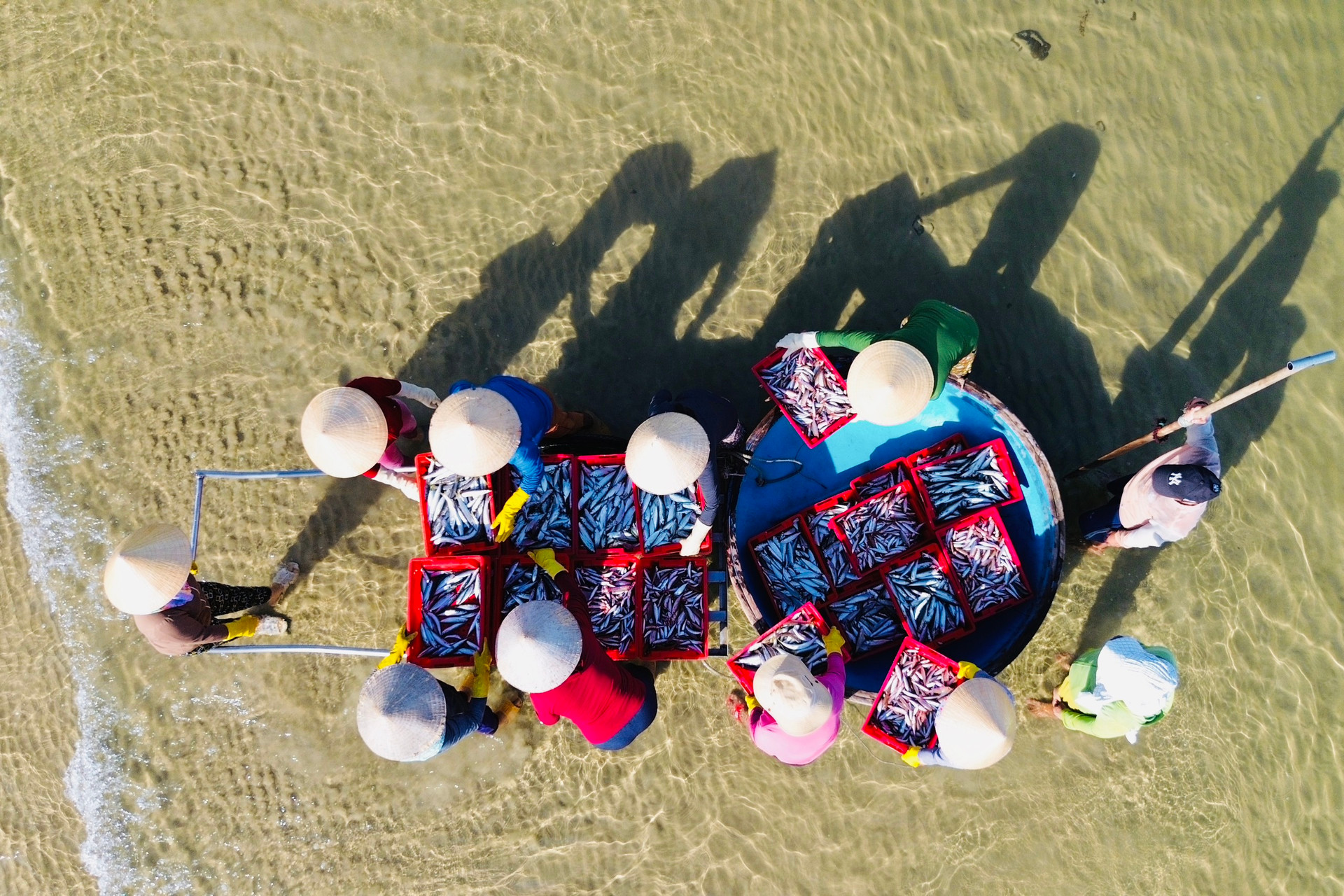 Ở Quảng Ngãi có cái chợ làng biển, hễ mặt trời ló rạng là tấp nập mua bán, cá cơm chất tươi đầy thuyền thúng- Ảnh 6.