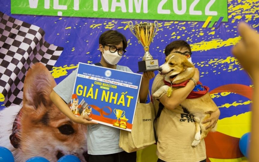Độc đáo cuộc đua marathon dành riêng cho chó Corgi