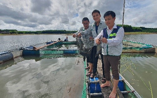 Ra hồ nước nhân tạo ở Quảng Trị nuôi cá đặc sản to bự, ông nông dân bắt bán 130.000 đồng/kg