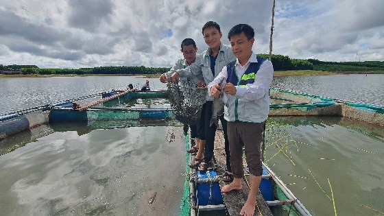 Ra hồ nước nhân tạo ở Quảng Trị nuôi cá đặc sản to bự, ông nông dân bắt bán 130.000 đồng/kg- Ảnh 2.