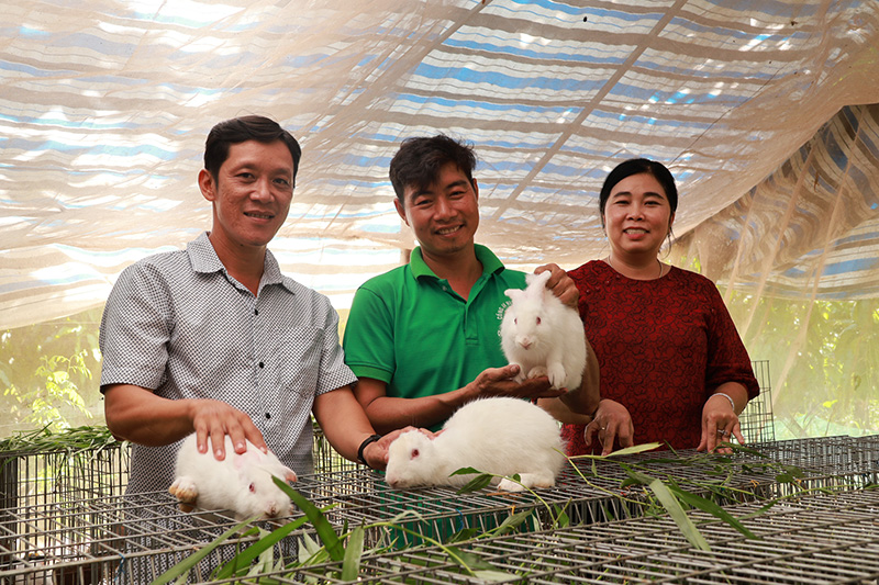 Dưới những tán xoài, nông dân một xã của tỉnh Đồng Tháp nuôi thỏ, gà, trồng rau mà thu lãi khá - Ảnh 1.