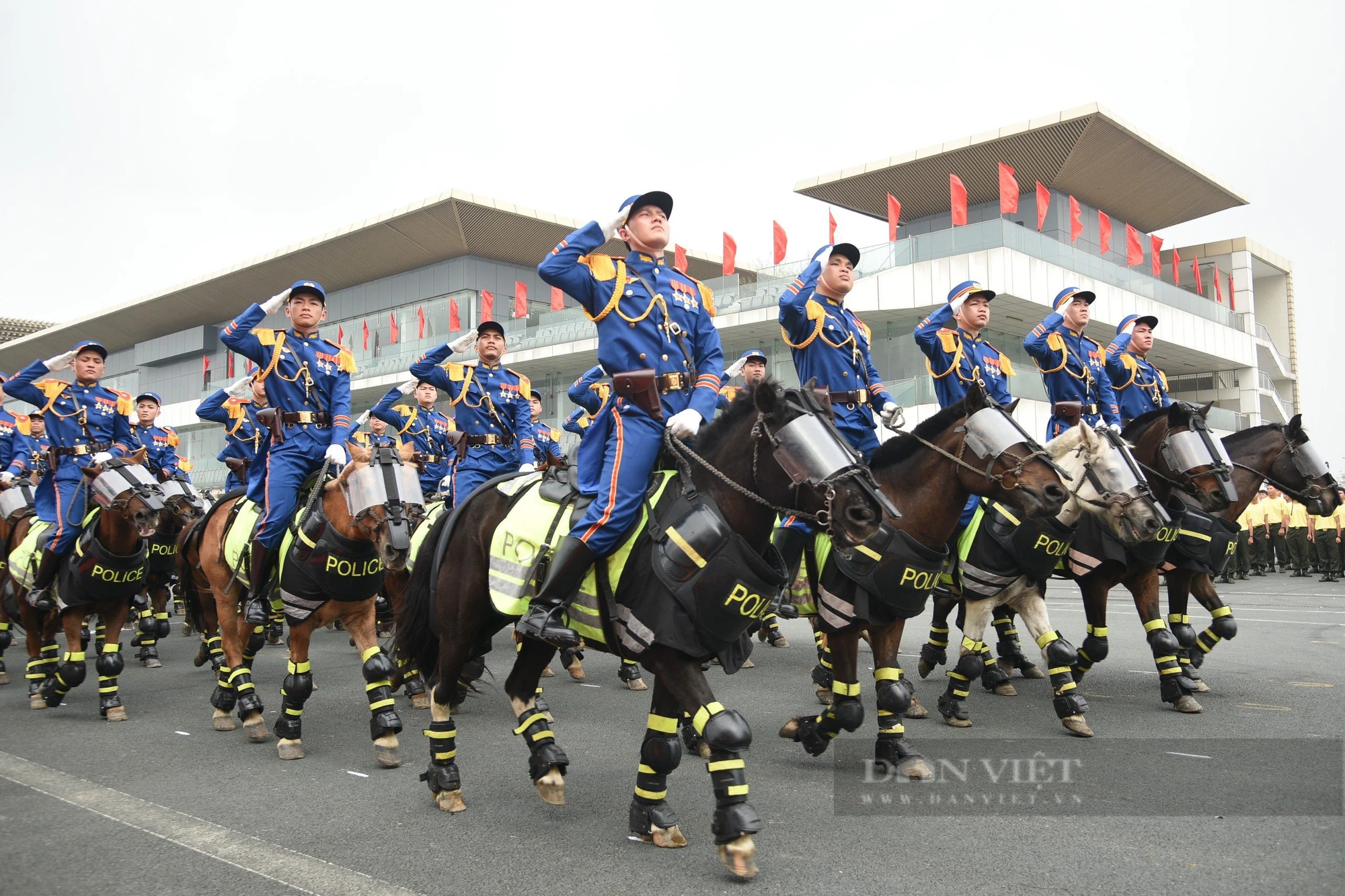 Trang phục mới của lực lượng Kỵ binh cảnh sát cơ động tại lễ diễu binh 50 năm ngày truyền thống- Ảnh 3.