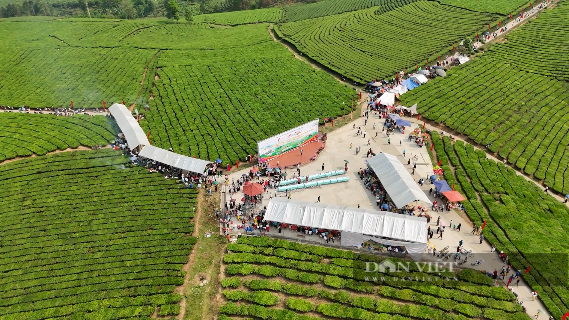 Lễ hội trà lần đầu tổ chức ở Lai Châu, đặc sắc màn hái chè, sao chè và thưởng trà- Ảnh 6.