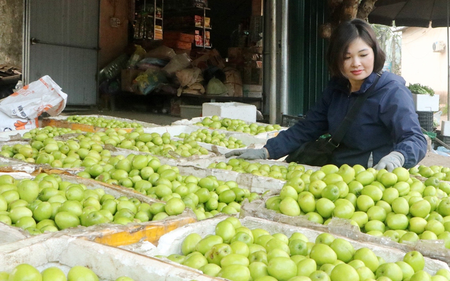 Cây trồng mới tại một nơi ở Bắc Giang toàn ra trái ngon, to bự, cả xã hái bán thu hơn 15 tỷ đồng